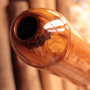 catégorie embouchure de didgeridoo