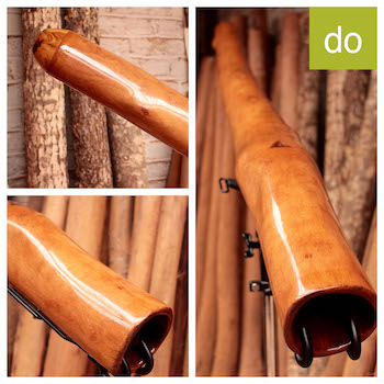 Photo du didgeridoo en eucalyptus en Do, modèle 2 - Big mama
