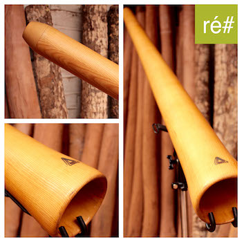 Photo du didgeridoo en Ré# modèle Skudd