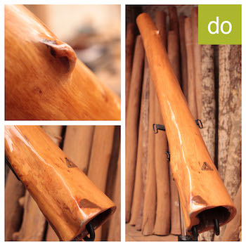 Photo du didgeridoo en eucalyptus en Do, modèle 1