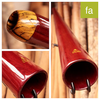 Photo du didgeridoo en Fa d'Alex