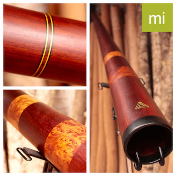 Photo du didgeridoo en Mi de Julien Pinot