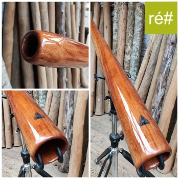 Photo du didgeridoo en Ré#   modèle Starter Plus V2 